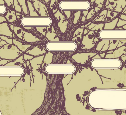 O que é árvore de costados?