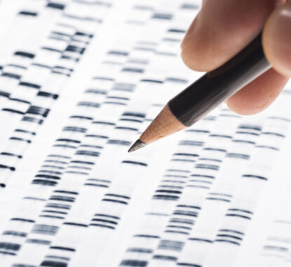 Desvendando a Riqueza da Pesquisa Genealógica: Uma Jornada de Descobertas Profundas