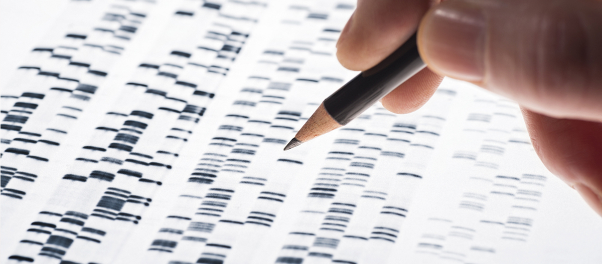 Desvendando a Riqueza da Pesquisa Genealógica: Uma Jornada de Descobertas Profundas